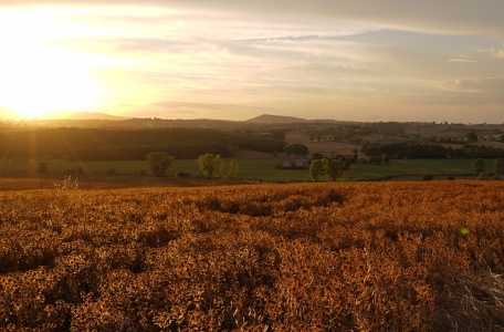 Un’agricoltura di salute