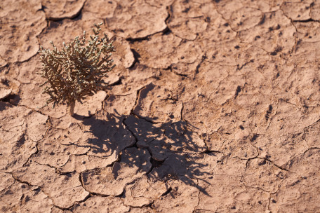 EU Soil Observatory 