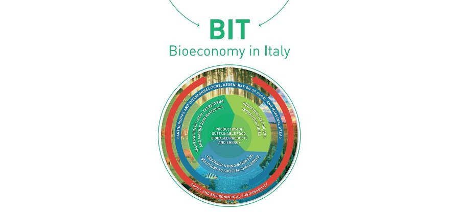 The Italian Bioeconomy Strategy now online for public consultation 